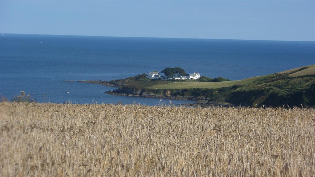 Wild Air Guest House Mevagissey Kültér fotó